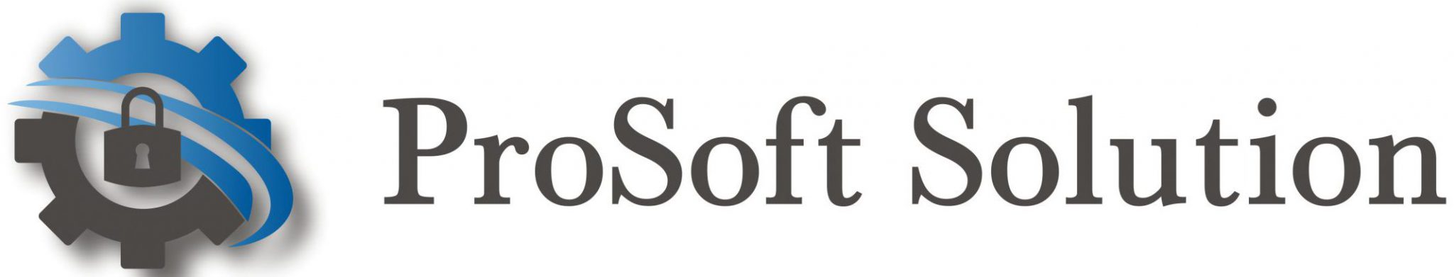 Firma Securitate  ProSoft Solutions - Ialomita