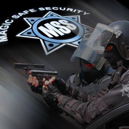 MSS - Arges