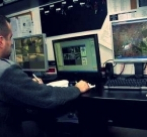 Firma Securitate Sirgombos Security - Mures